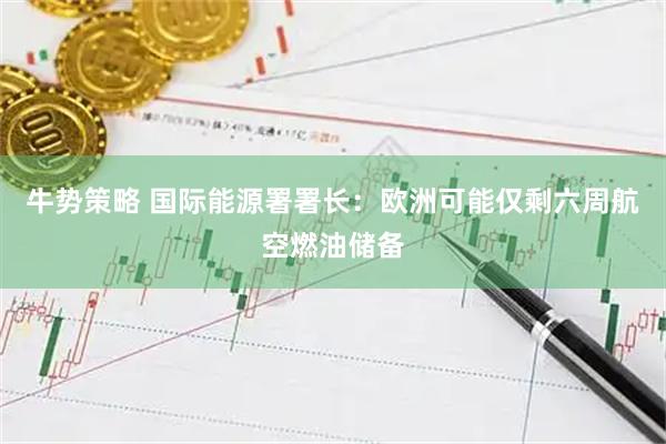 牛势策略 国际能源署署长：欧洲可能仅剩六周航空燃油储备