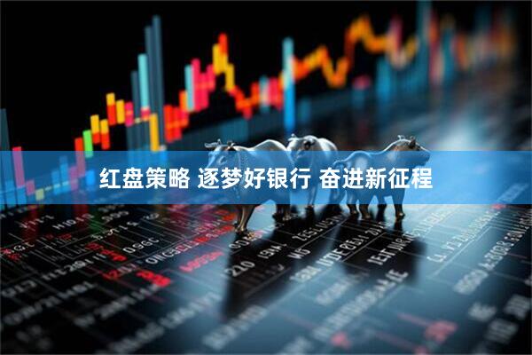 红盘策略 逐梦好银行 奋进新征程