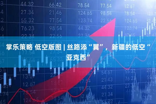 掌乐策略 低空版图 | 丝路添“翼”，新疆的低空“亚克西”