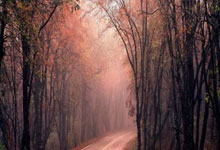 炒股加杠杆怎么还:新手配资-“鸽派”美联储即将来袭？大摩大胆预测：降息幅度或超市场预期！